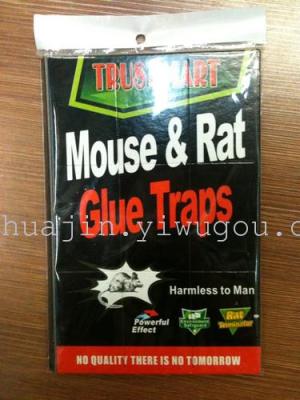 The glue rat Board, mouse glue