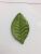 Flower parts green ultrasonic embossing factory outlets