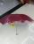 Begonia Umbrella Triple Folding Umbrella Umbrella Advertising Umbrella Factory Direct Sales