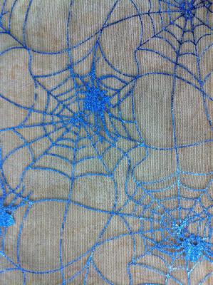 Colorful Spider Web