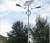 Solar Backpack Led Street Lamp XY-R09