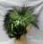 Hair comb hair KTV party Halloween wigs theatrical wigs