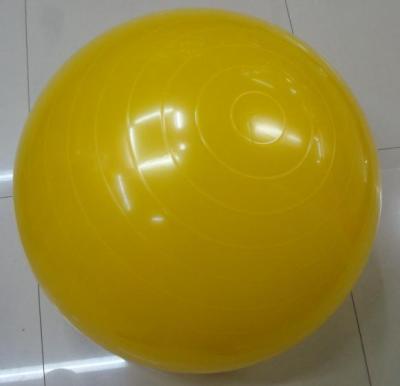 65CM fitness ball/Yoga balls/gym balls
