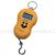 Electronic portable scale - gourd type household scale luggage scale