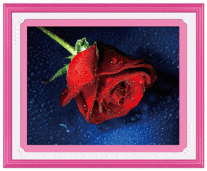 5D0175 drops of rose (5D cross stitch)