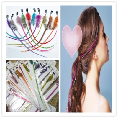 One  clip in the feather multi-color synthetic  Hair Extension 