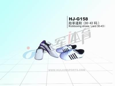 Taekwondo shoe (30-43) HJ-G158