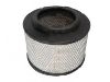 Air filter (17801-0C010)