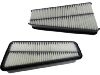 Air filter (17700-0P010)