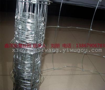 Cow Block, Prairie Net, Isolation Network, Fence, Barbed Wire Cattle Block