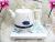 D102 authentic Jia Xuan color changing flowers gift home electric kettle tea set crafts ceramic automatic water boil water 111