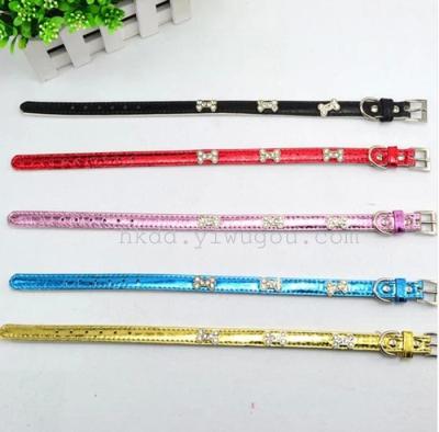 Dog small dog cat collar leather bone screw neck ring rope dog Teddy color a chain collar