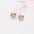 Korean Super Flash diamond magnetic earrings non-pierced men magnet magnet earrings wholesale