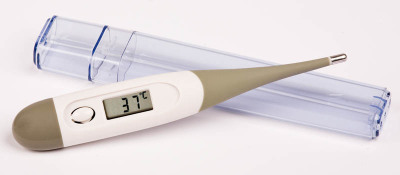 Js - 028 soft head thermometer digital thermometer OEM electronic new thermometer gift thermometer