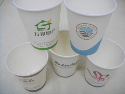Disposable Paper Cup 20 Photos