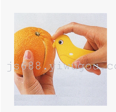 Bird Peel orange with orange-skinned helper home tour standing