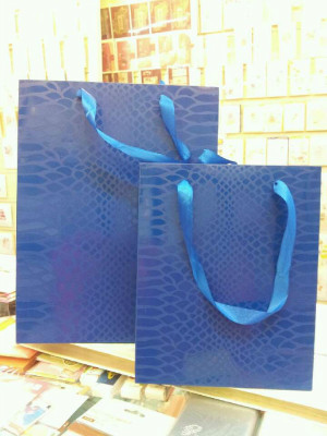 High-End Ec Handbag, Gift Bag