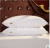 Where luxury white goose feather pillow five Stars Hotel three layer down pillow