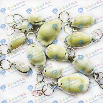 [YiBei Coral] natural conch shells shell jewelry electroplating wrapping Keychain accessories wholesale