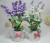 Small pot placed small potted artificial flowers Lavender living room table flower decorations