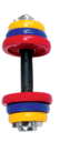 "Factory direct" YT-9007 dip colored dumbbells wholesale price