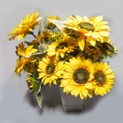 Simulate 7 sunflowers.