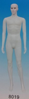 Costume props plastic male model a batch.