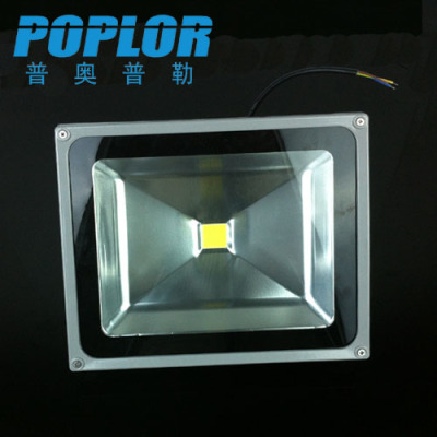 50W/ LED project light lamp / LED flood light / projection lamp / waterproof / outdoor lighting / engineering lamp