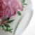 5 inch Twill Bowl melamine imitation porcelain manufacturers selling plastic bowls