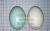 Simulation white yolk salted duck egg crafts egg plastic toys