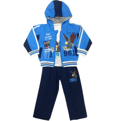 Yiwu Spring Festival purchase cartoon embroidery Eagle children male baby hooded cotton three set of children's clothing