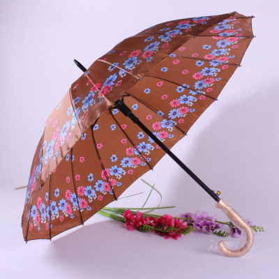 Bone pattern dingbuyang umbrella boutique straight umbrella sunny umbrella cheap stalls umbrella