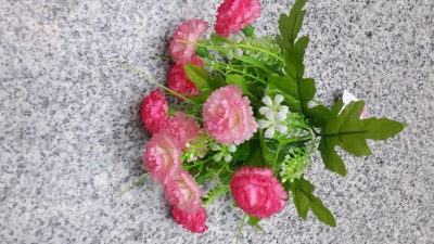 Five 10 - flower carnations
