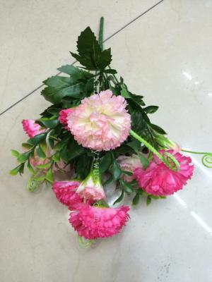 Factory low price small carnations