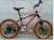 Ma Luo mountain bike, 20 inch West students