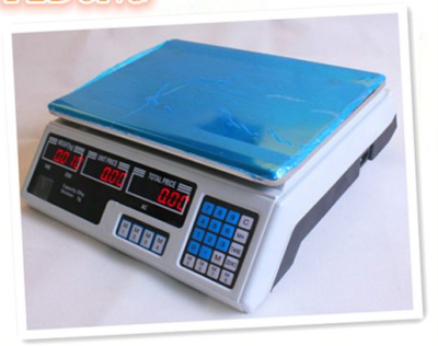 30 kg price computing scale