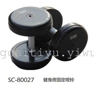 SC-80087 fixed shuangpai gym dumbbells