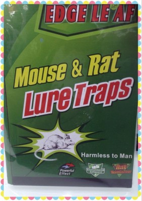 Glue Mouse Traps