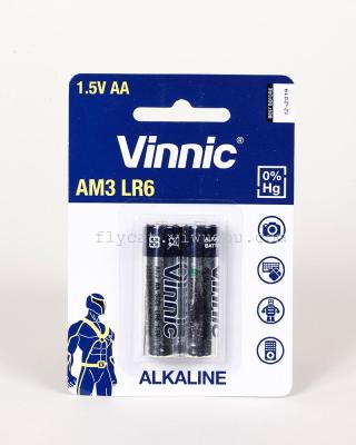 VINNIC 5th AA 2 hangtag alkaline batteries