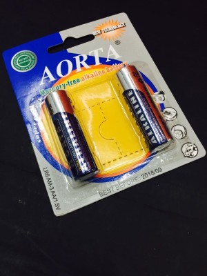 AORTA 5th LR6 alkaline batteries 2 AA batteries installed