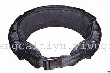 SC-87139 iron belt