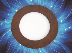 6 inch 12wLED wood round concealed Panel light the Panel light hole 155mm