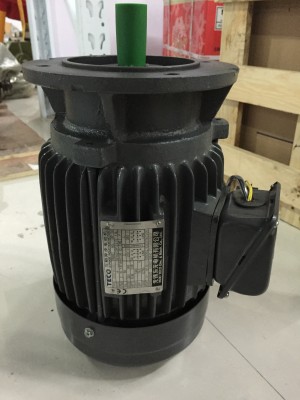 Dongyuan brake motor