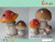 The mushroom resin handicraft ornaments