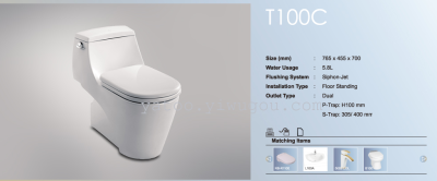 T100C Peterborough one-piece toilet 765*455*700mm