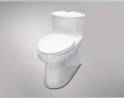 One-piece toilet T107C Amazon 775*3820*675mm