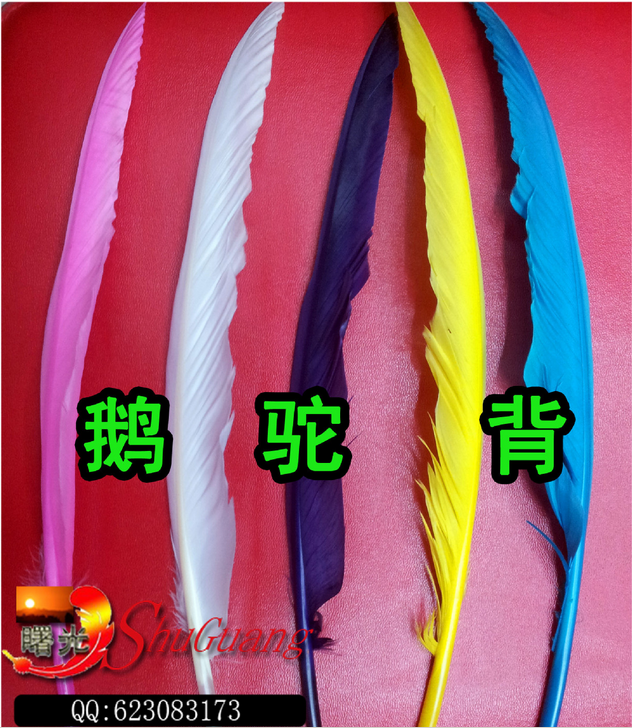 厂家直销 鹅驼背 羽毛笔 羽毛工艺品