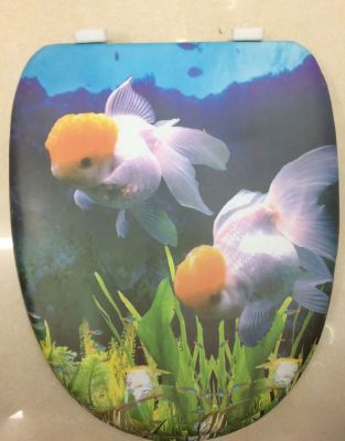 New-u-shaped double-sided printed toilet seat