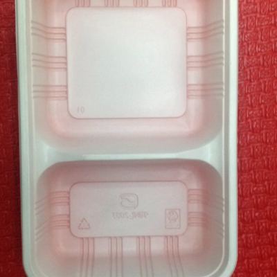 Disposable Two-Compartment Lunch Box