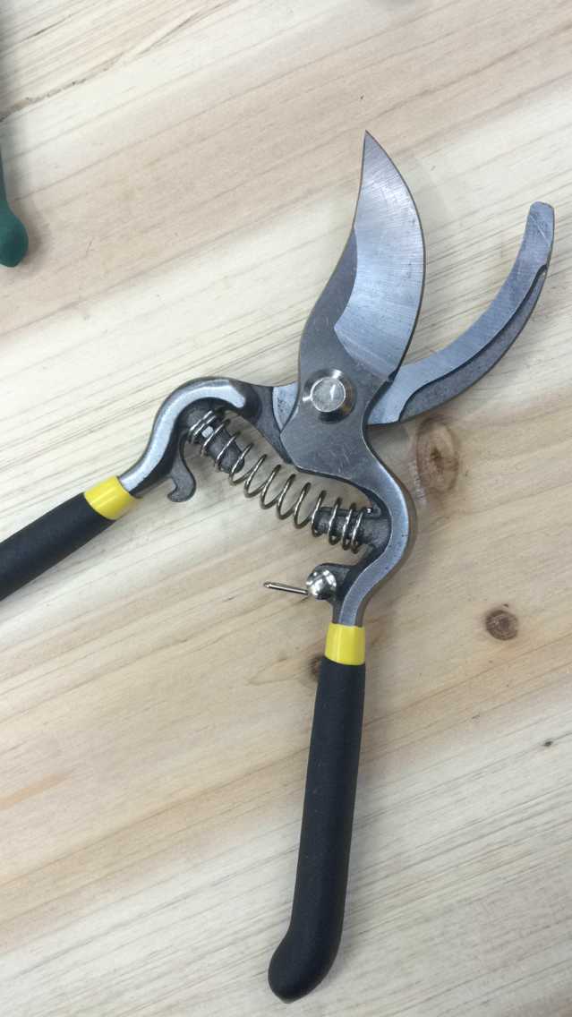  双色插卡沾塑柄 剪花 园林 修枝剪葡萄剪五金工具